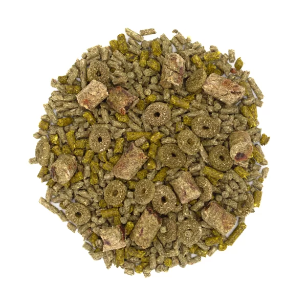 Oxbow Alimento para Cuyo Forage Wise - Image 4