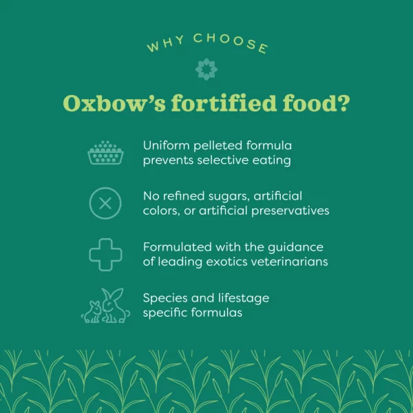 Oxbow Alimento para Conejo Juvenil - Image 6