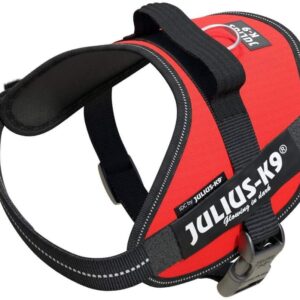 Julius K-9 Arnés para Perro IDC Power Rojo S/Mini
