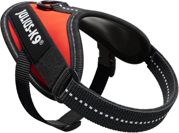 Julius K-9 Arnés para Perro IDC Power Aqua - Image 5