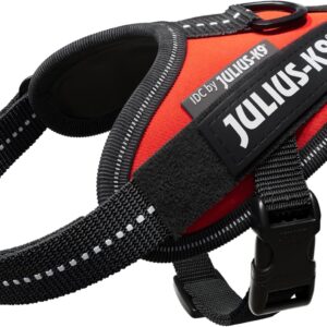 Julius K-9 Arnés para Perro IDC Power Aqua
