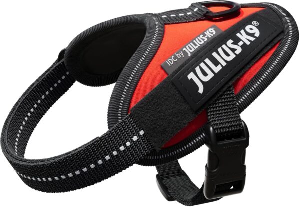 Julius K-9 Arnés para Perro IDC Power Aqua