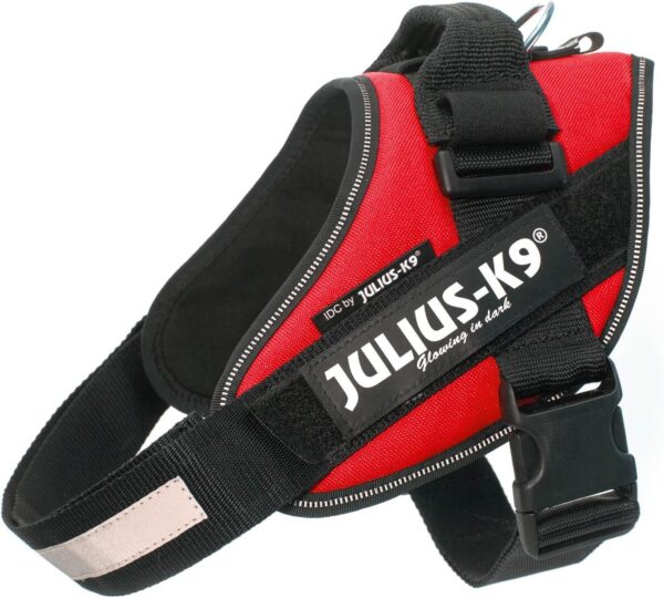 Julius K-9 Arnés para Perro IDC Power Rojo M/Talla 0 - Image 3