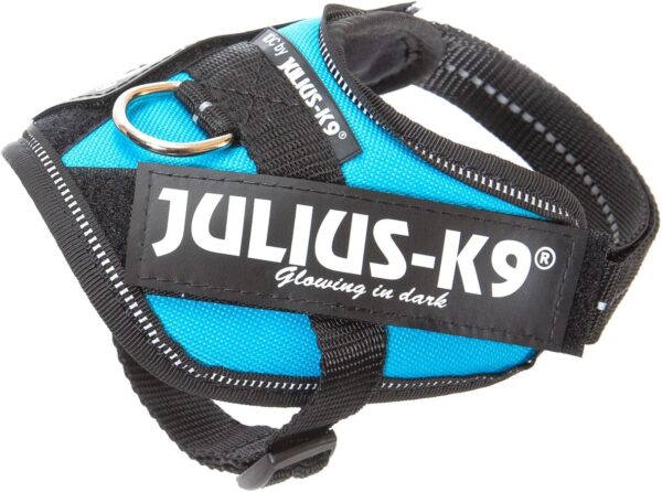 Julius K-9 Arnés para Perro IDC Power Aqua - Image 3