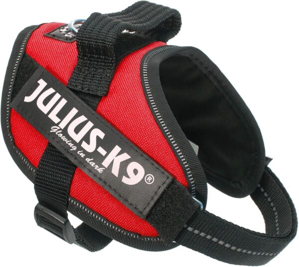 Julius K-9 Arnés para Perro IDC Power Rojo - Image 3