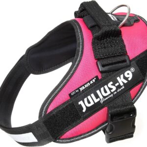 Julius K-9 Arnés para Perro IDC Power Rosa Fuerte M/Talla 0