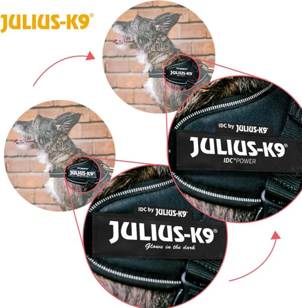 Julius K-9 Arnés para Perro IDC Power Aqua - Image 8