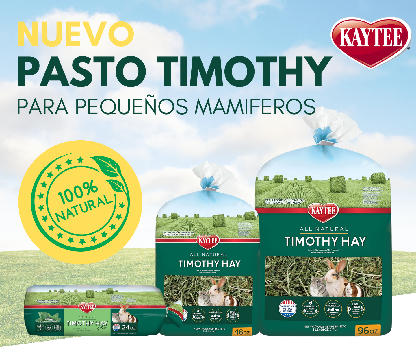 PASTO